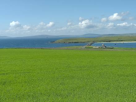 De Orkney eilanden en de haven van Kirkwall (8)