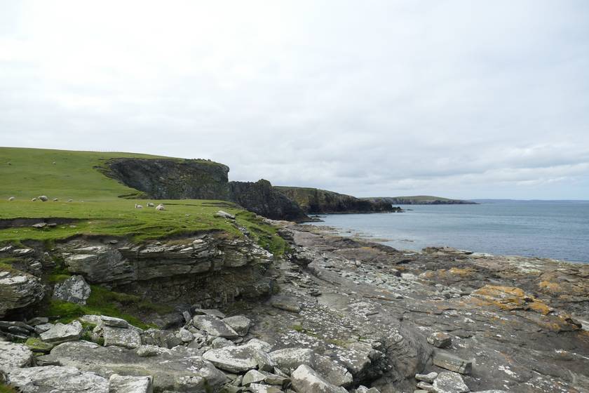 Kliffen en groene weiden aan de kust van de Shetlands